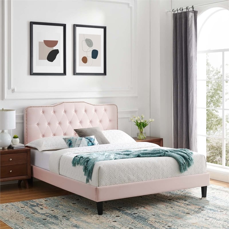 Modway Amber Modern Style Performance Velvet Queen Platform Bed in Pink