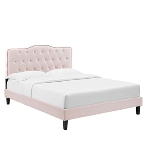 Modway Amber Modern Style Performance Velvet Queen Platform Bed in Pink