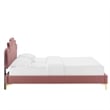 Modway Neena Modern Performance Velvet King Bed - Dusty Rose Pink