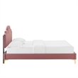 Modway Aviana Modern Performance Velvet King Bed - Dusty Rose Pink