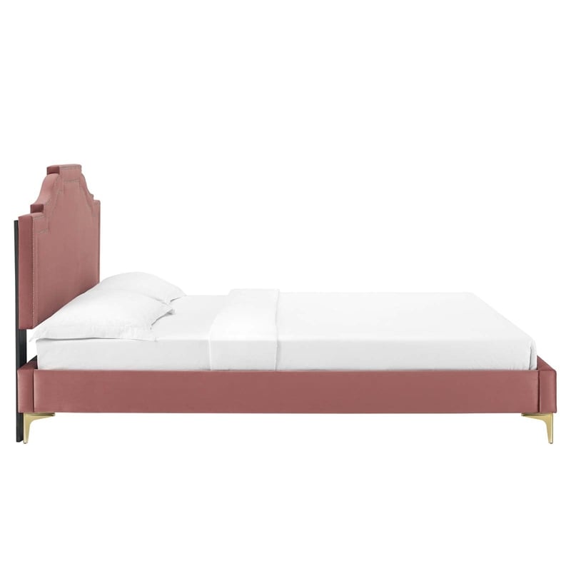 Modway Adelaide Modern Performance Velvet King Platform Bed - Dusty Rose