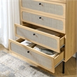 Modway Chaucer 5-Drawer Particleboard and Rattan Chest in Oak