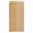 Appia 2-Door Arched Door Storage Cabinet in Oak