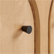 Appia 2-Door Arched Door Storage Cabinet in Oak