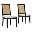 Faux Rattan and Wood Dining Side Chairs - Set of 2