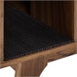 Render Cat Cabinet in Walnut