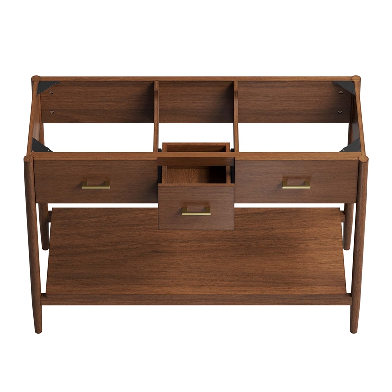Zaire Bathroom Vanity Cabinet (Sink Basin Not Included) in Walnut