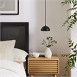 Eclipse Globe Pendant Light in Black