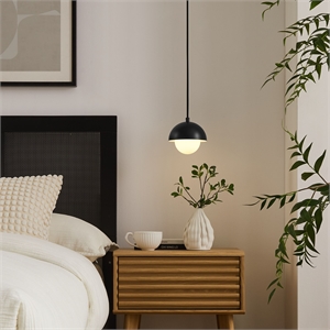 eclipse globe pendant light in black