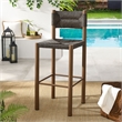 Parkland Bar Stools Set of 2 in Walnut