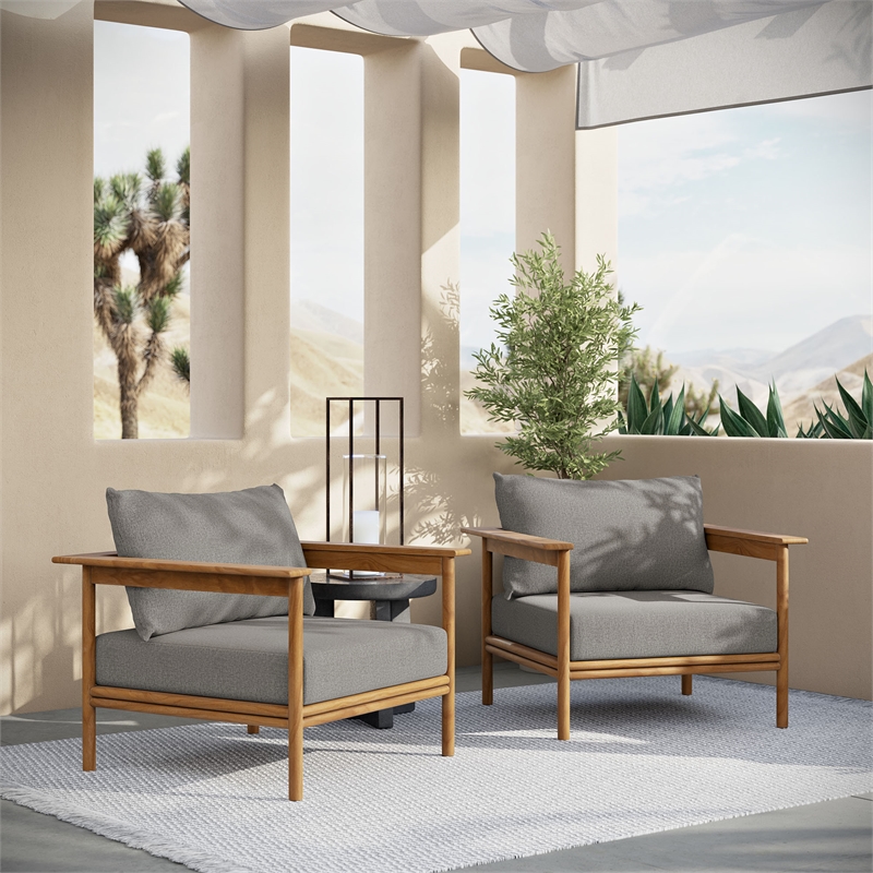 Wren Armchair Set of 2 in Natural Driftwood