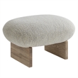 Loyal Accent Chair and Ottoman Set in Pearl Oak