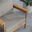Wren Armchair in Natural Driftwood