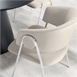 Nella Dining Chair Set of 2 in Almond Silver