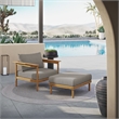 Wren Armchair and Ottoman Set in Natural Driftwood