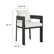 Tahoe Dining Chair in Gray White