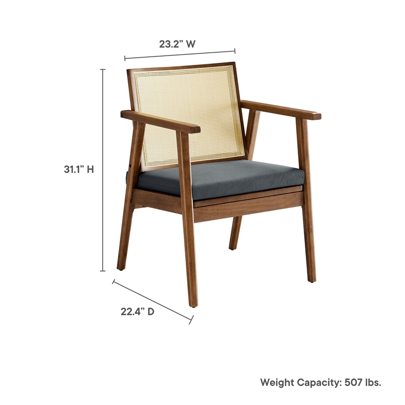 Thera Accent Armchairs Set of 2 in Walnut Black