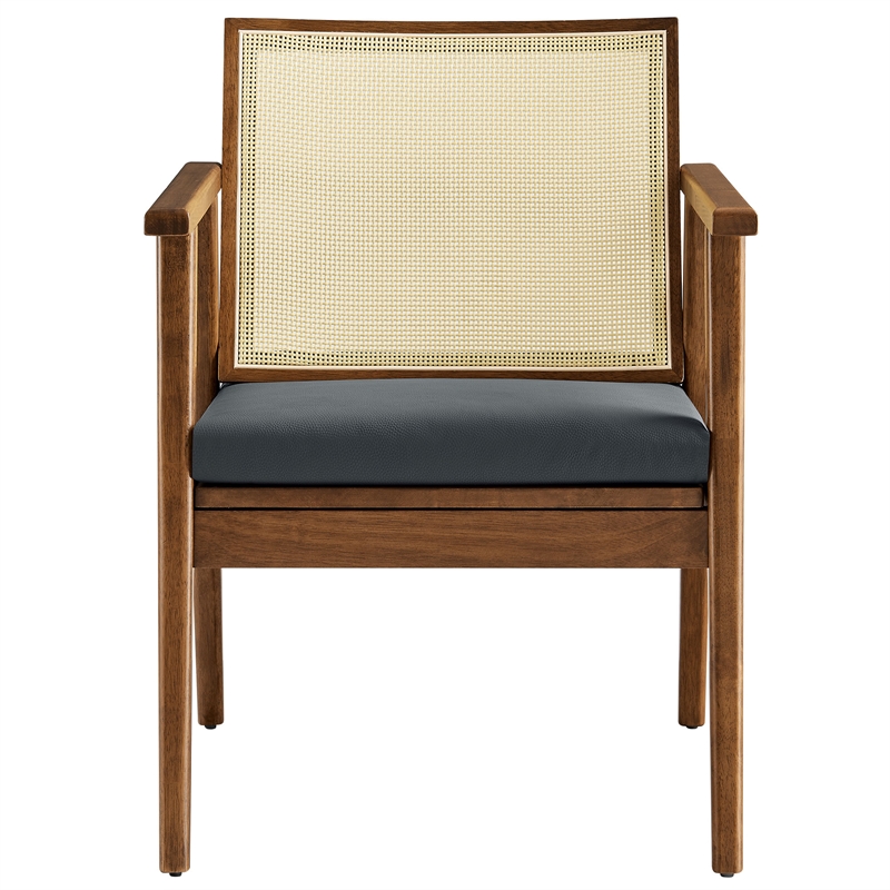 Thera Accent Armchairs Set of 2 in Walnut Black