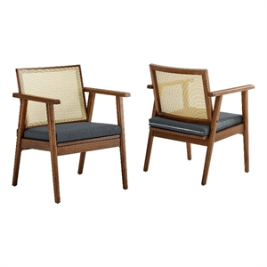 Thera Accent Armchairs Set of 2 in Walnut Black