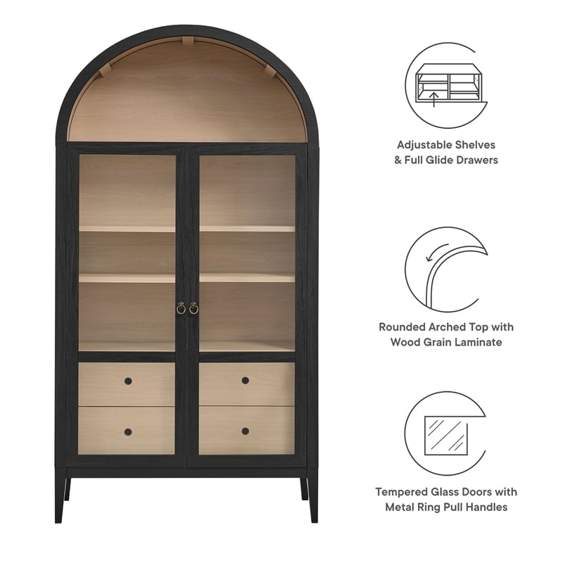 Nolan Storage Display Cabinet in Black Oak