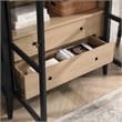 Nolan Storage Display Cabinet in Black Oak