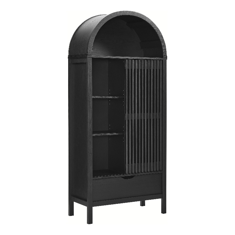 Vaughn Storage Display Cabinet in Black