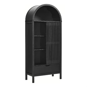 Vaughn Storage Display Cabinet in Black