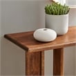 Rivian Console Table in Walnut
