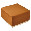 Tilden Ottoman in Rust Natural