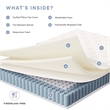 Jenna 12