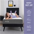 Modway Mila Firm 12