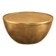 Viora 32 Inch Metal Storage Coffee Table in Burnished Brass