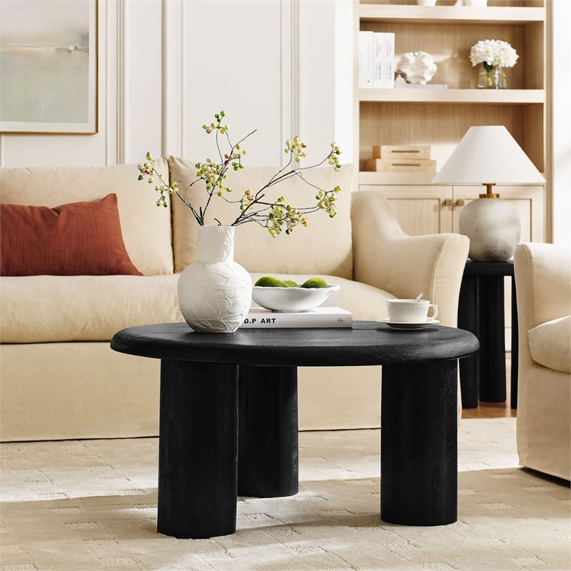 Mavina Round Mango Wood Coffee Table in Black