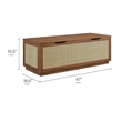 Soma Rattan Storage Bench in Walnut