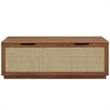 Soma Rattan Storage Bench in Walnut