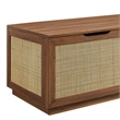 Soma Rattan Storage Bench in Walnut