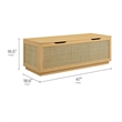 Soma Rattan Storage Bench in Oak