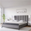 Modway Mila Firm 5