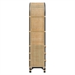 Jane 71 Inch Tall Arched Natural Rattan Bookshelf in Natural Black
