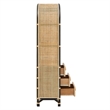 Jane 71 Inch Tall Arched Natural Rattan Bookshelf in Natural Black