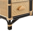 Jane 71 Inch Tall Arched Natural Rattan Bookshelf in Natural Black