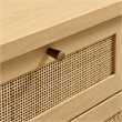 Soma 62 Inch Rattan Console Table in Oak