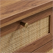Soma 62 Inch Rattan Console Table in Walnut