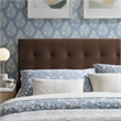 Lily Stain-Resistant Performance Velvet King Size Headboard in Chocolate Brown