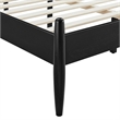 Zane Queen Size Spindle Bed in Black