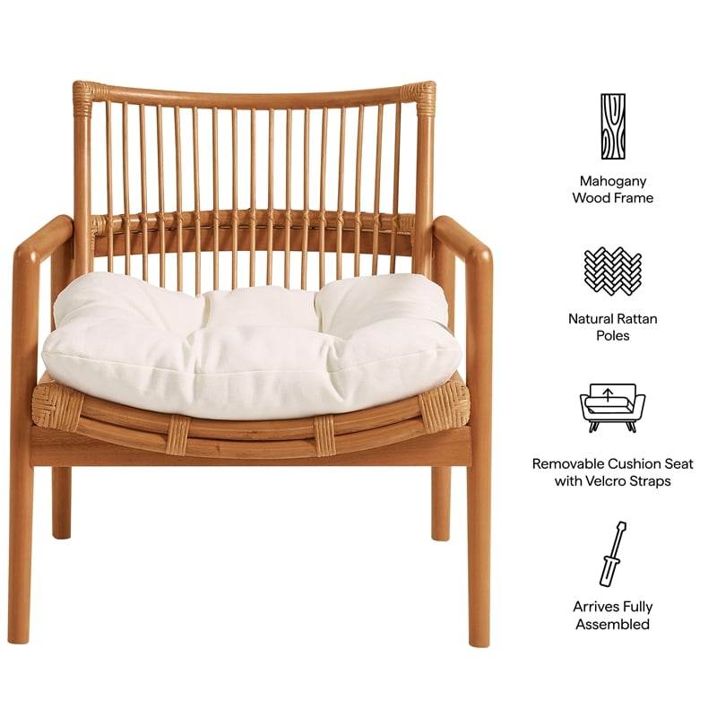 Tula Wood Rattan Lounge Chair in Brown