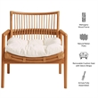 Tula Wood Rattan Lounge Chair in Brown