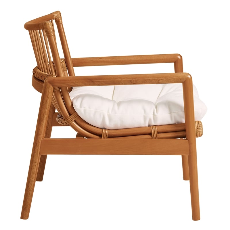 Tula Wood Rattan Lounge Chair in Brown