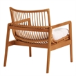 Tula Wood Rattan Lounge Chair in Brown