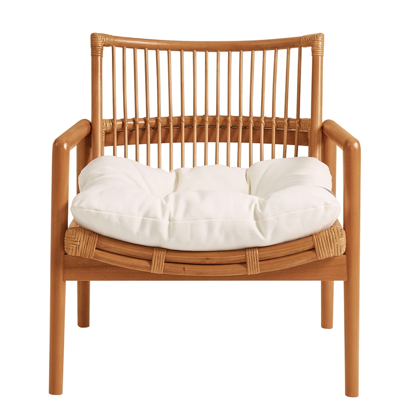 Tula Wood Rattan Lounge Chair in Brown
